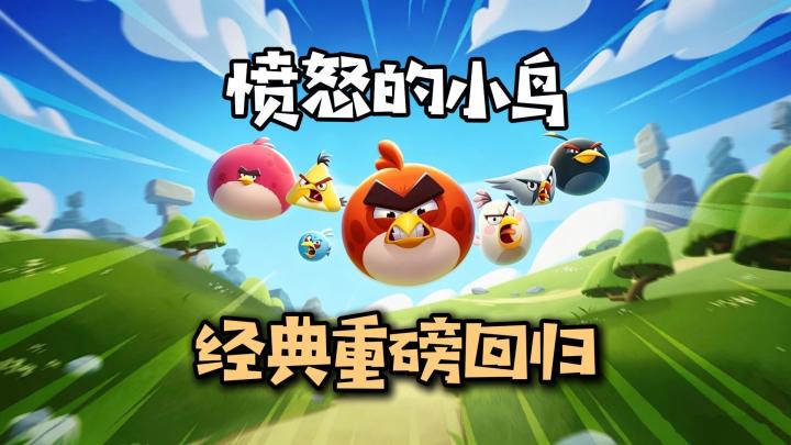 童年神作重磅归来，小鸟自由搭配，猪堡一键清零❗截图