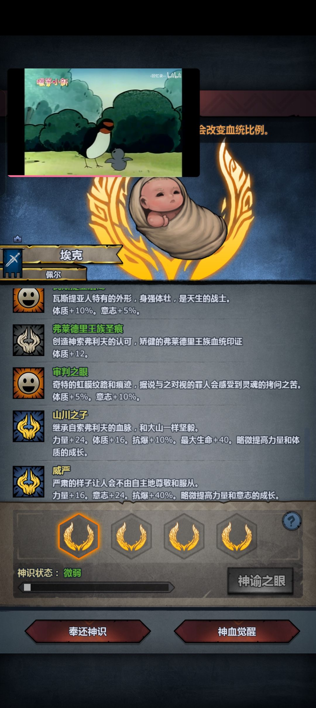 出货了,选那个好, 1