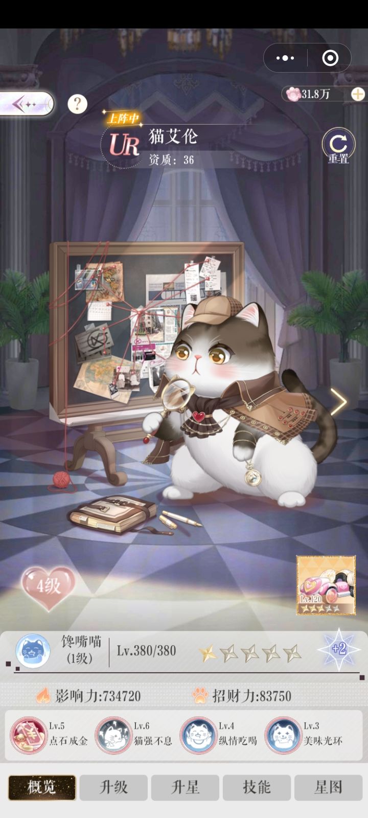可爱的猫猫 2