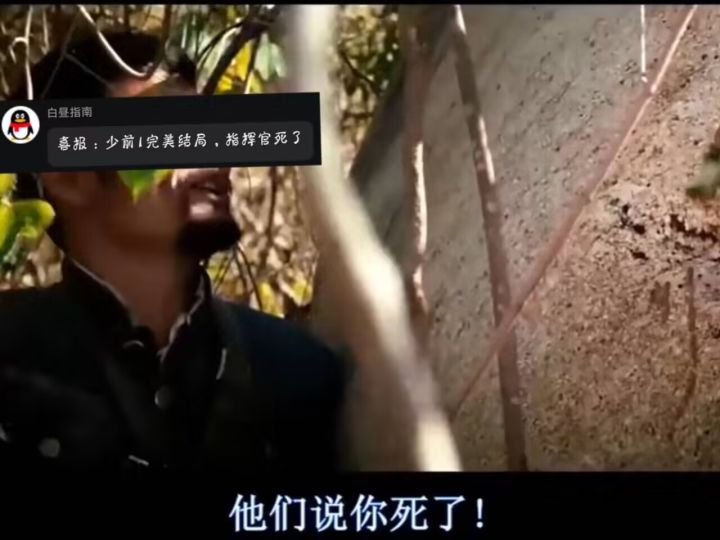 我去,是聊天记录截图