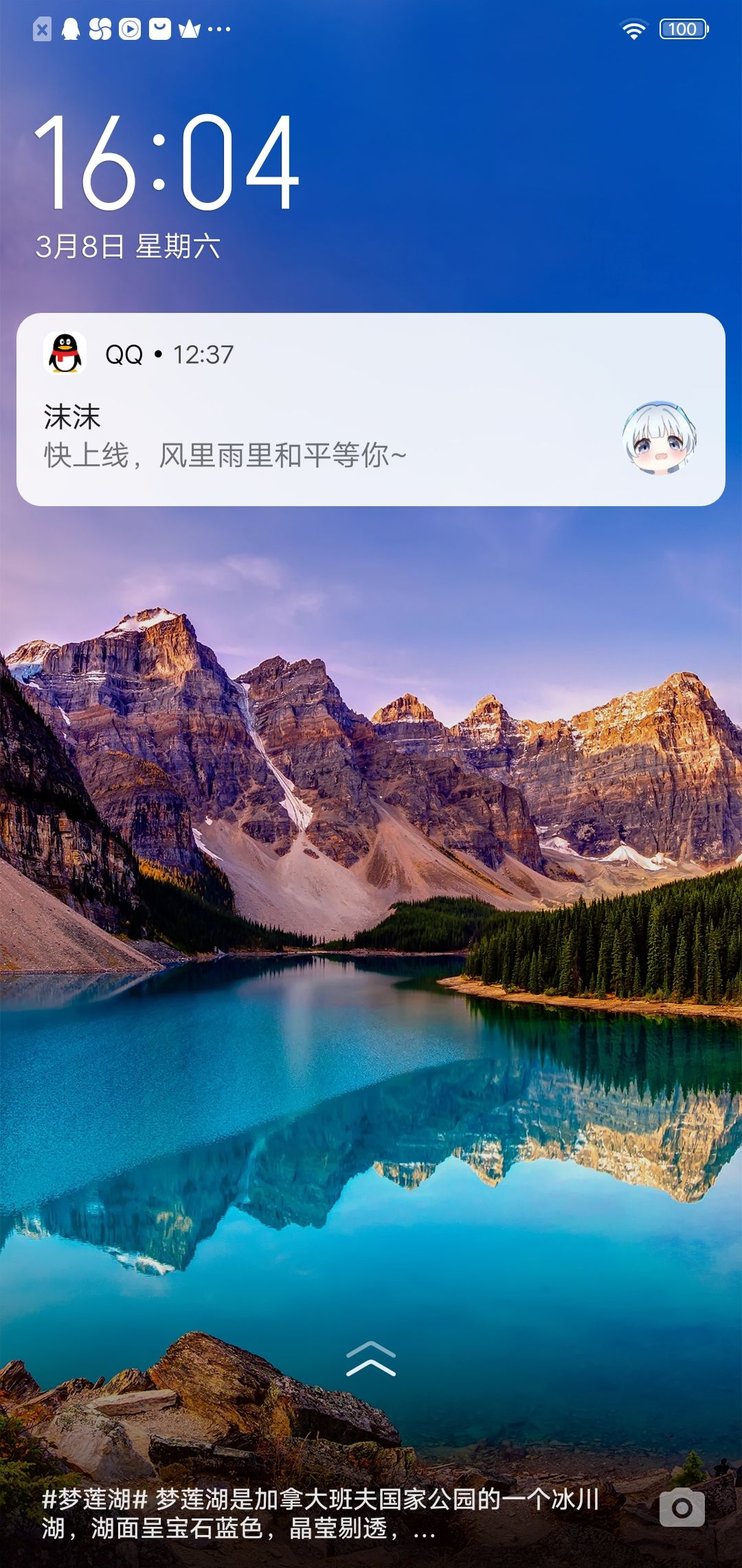 动态图片 8