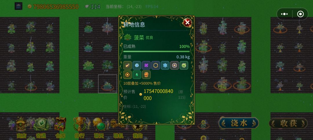 动态图片 2