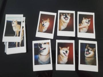 公测活动奖励快递已陆续发出！