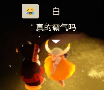 寻找崽崽 6