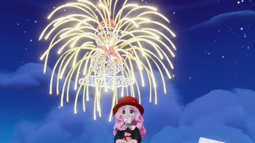 享受烟花绽放的美丽时刻 留下难忘的回忆 3
