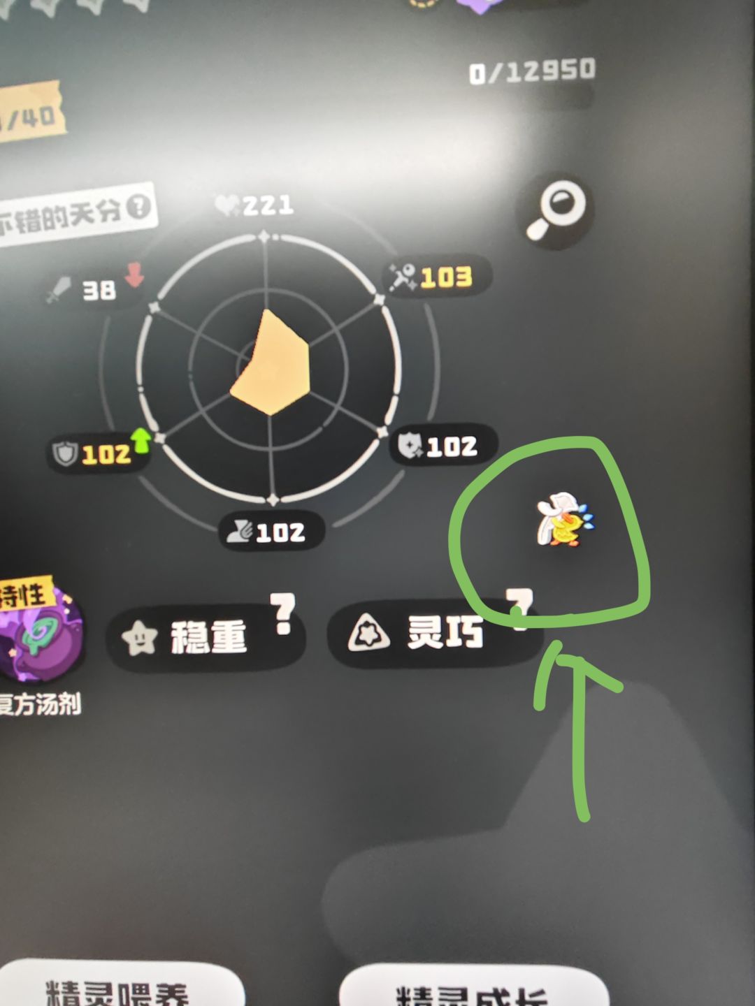 这个是啥? 1