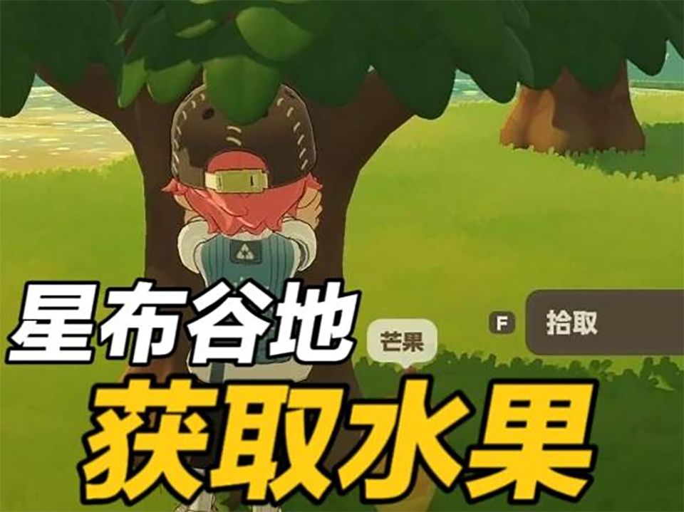 video-5335679