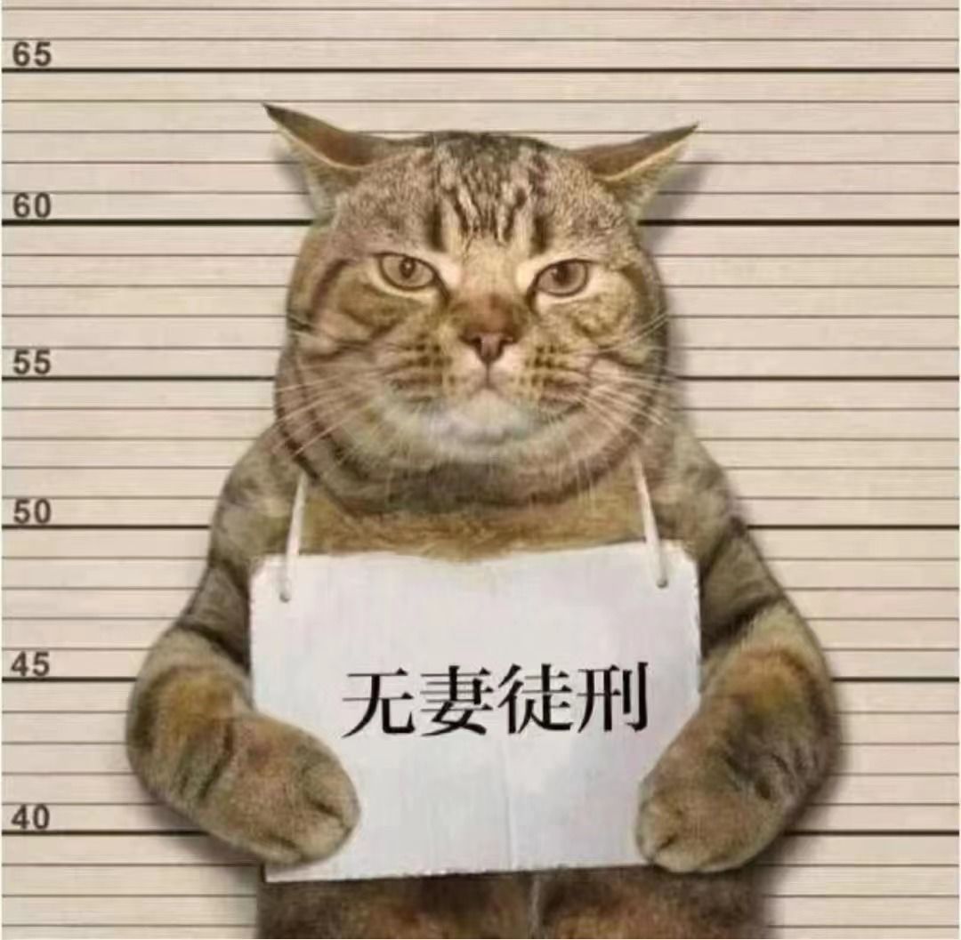 婚礼的殿堂即将打开大门，你准备好了吗？截图