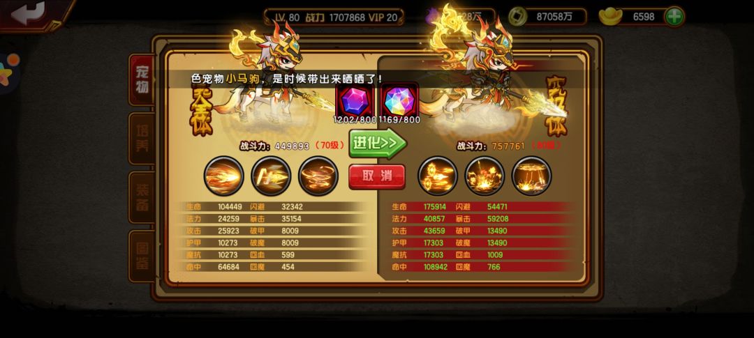 五阶马宠已出生 2