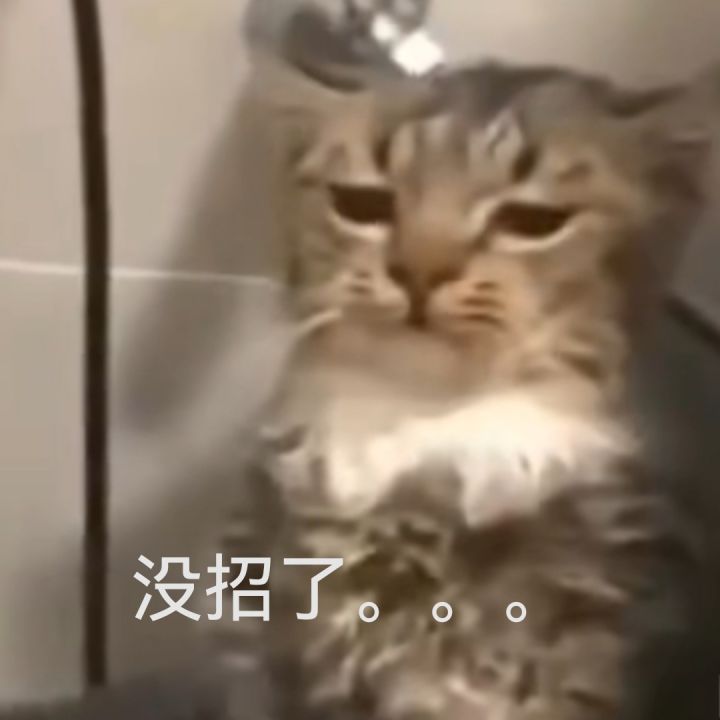 Tap tap截图