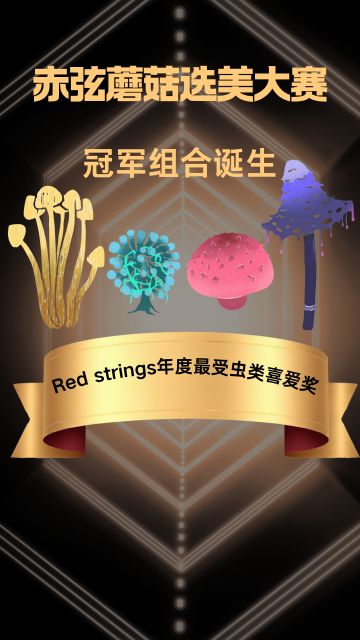 开发者日志6｜游戏搭建