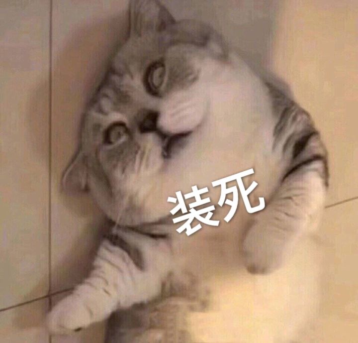 找大佬求带截图