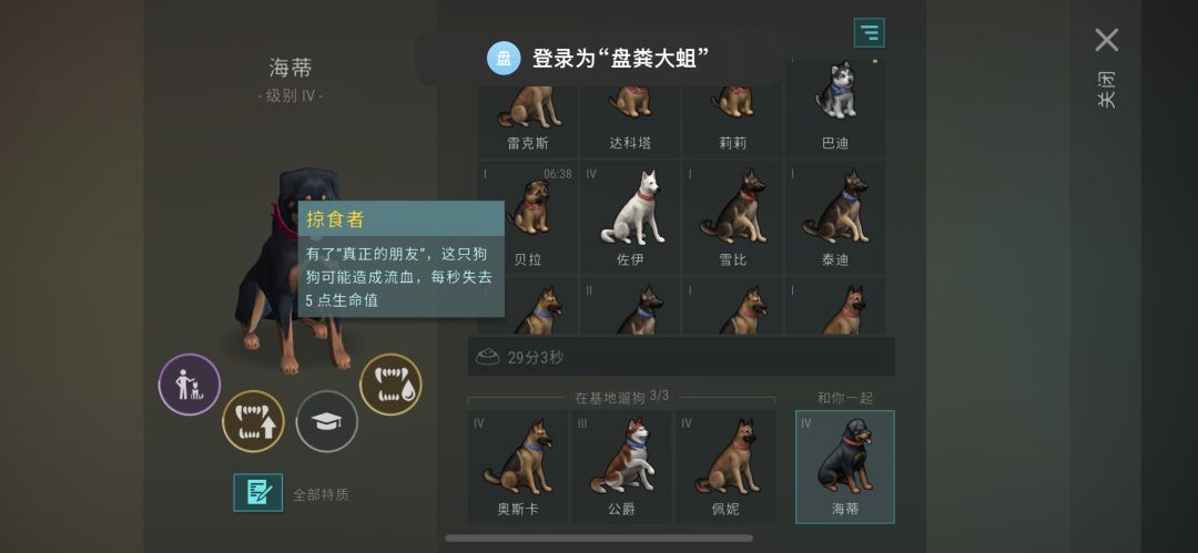 过年啦 最高dps的狗(已附上如何毕业) 2