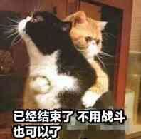 关于角色问题 1