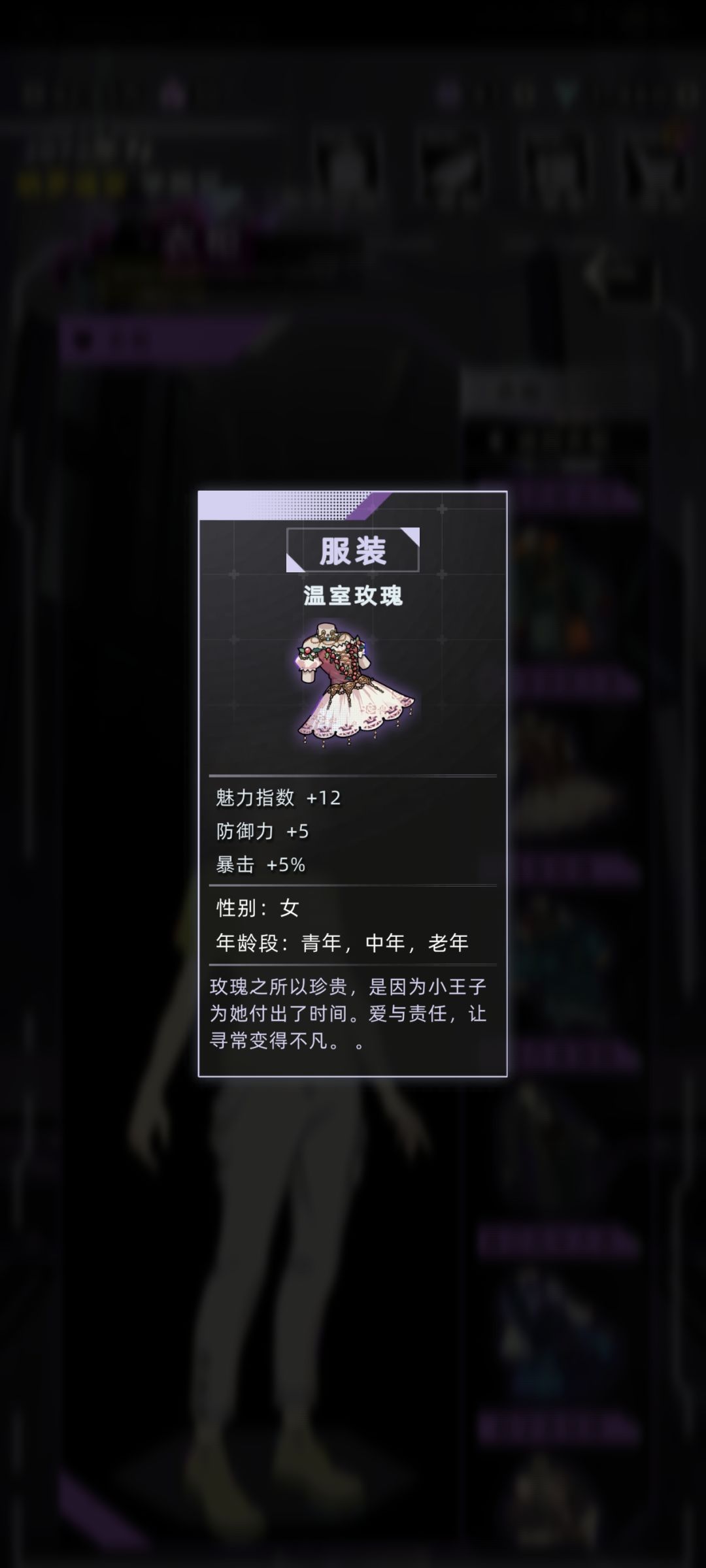 战斗攻略服饰套装篇(女) 2