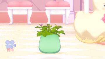 关于猫薄荷攻略