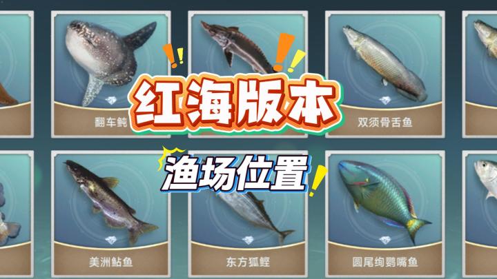 又有新的钓鱼发现物了,红海渔场位置分享!截图