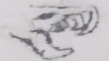 虚无之刺流的深入思考