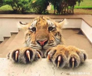 给春秋封神的几点建议或意见！