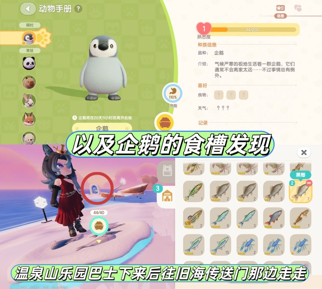 2月21日日常攻略合集 3