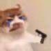 也不晓得要猴年马月才能玩 1