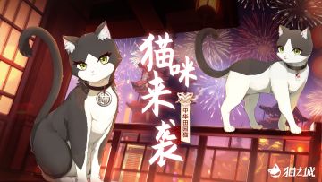 🏮于此夜重逢 | 猫咪预告🏮