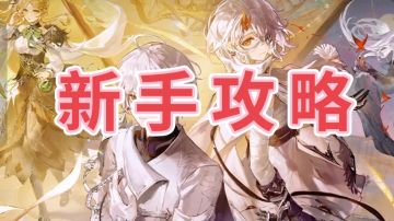 新手攻略(配队与规划)