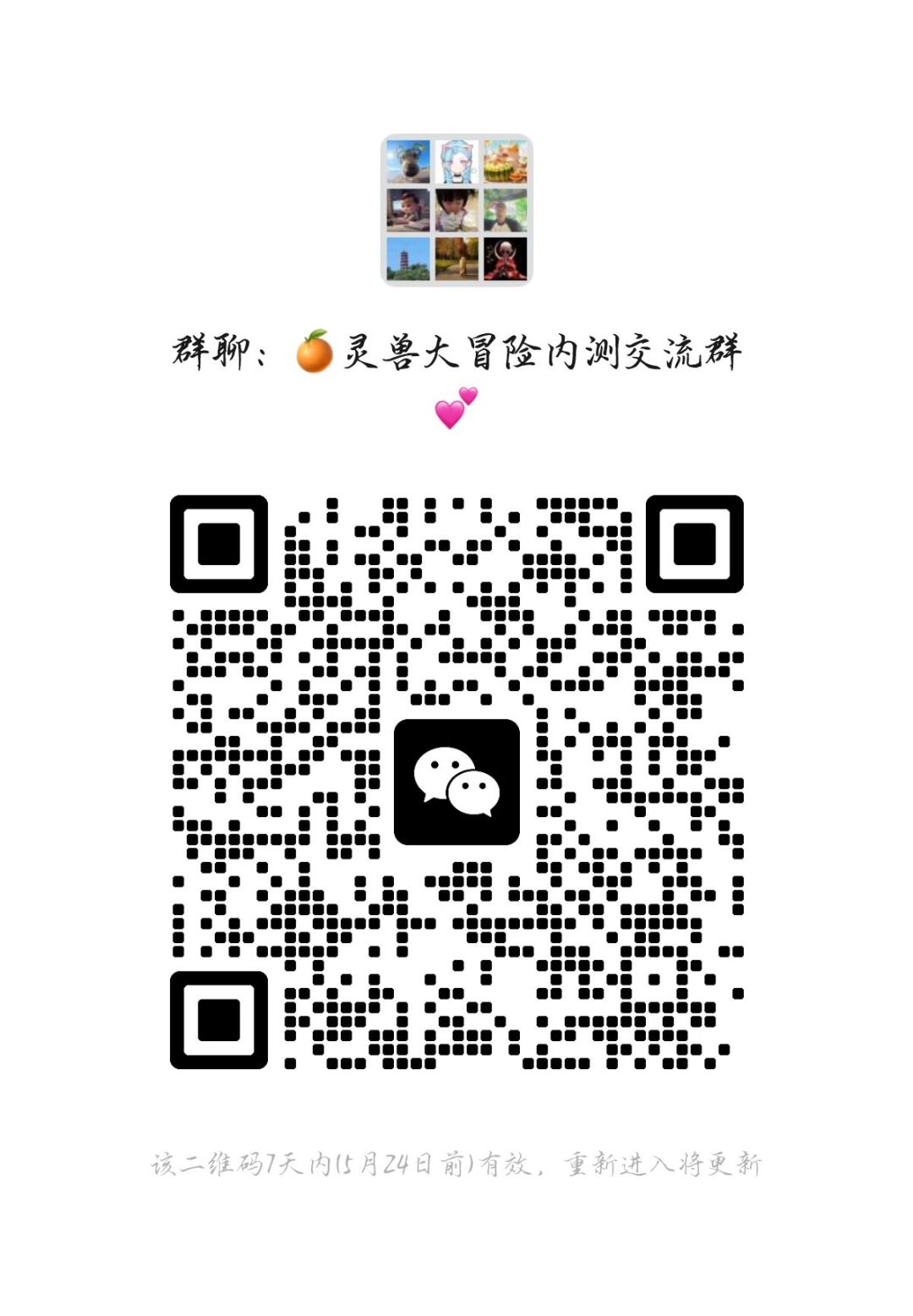 灵兽大冒险玩家交流 1