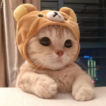 来自远古老玩家的心愿