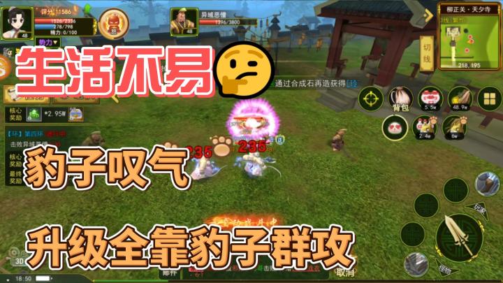 刀客?笑话罢了,升级还得看我新职业:豹子头截图