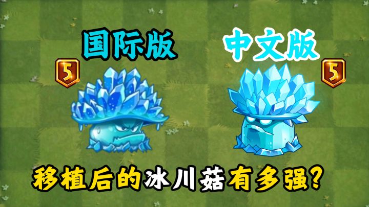 相较于国际版,中文版的冰川菇有多强势?截图