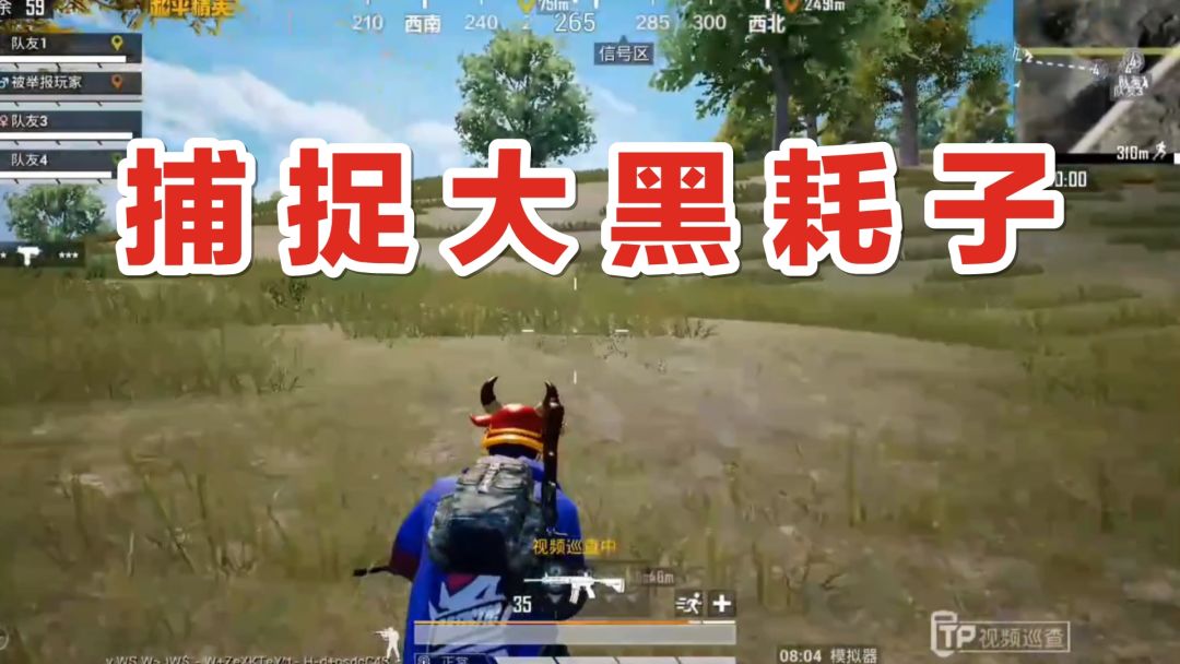 video-3351399