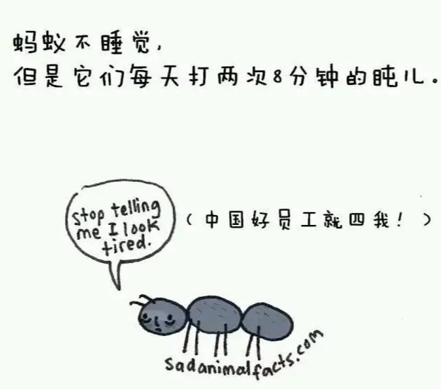(每日一氵) 6