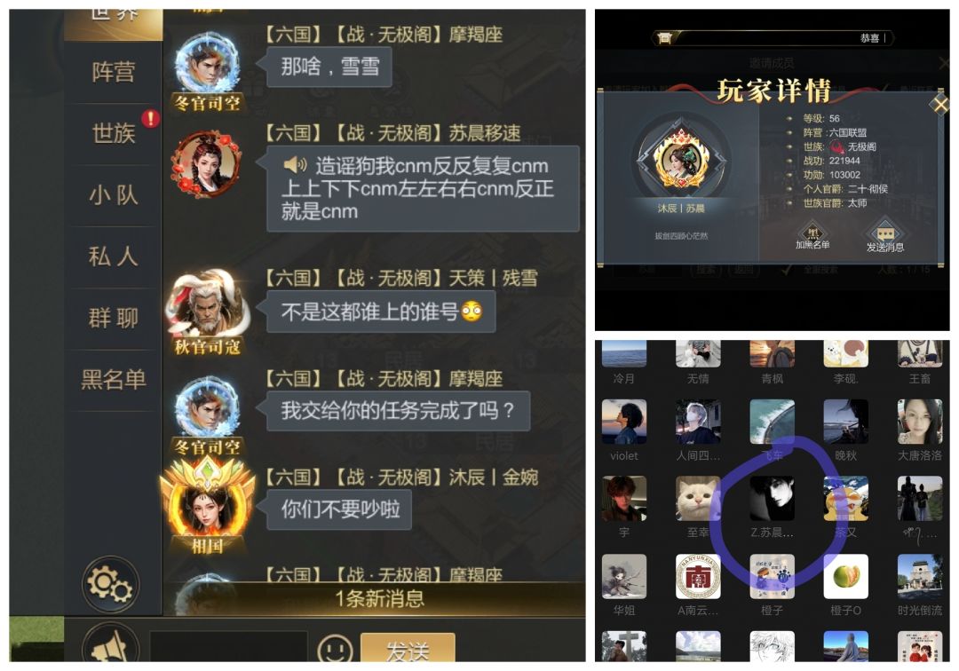 阴阳无极口嗨阁(落雪云间)六国伐秦 2