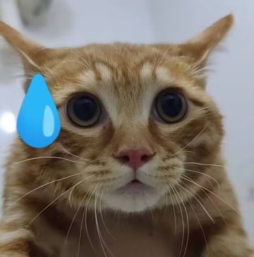 给你们提点优化建议