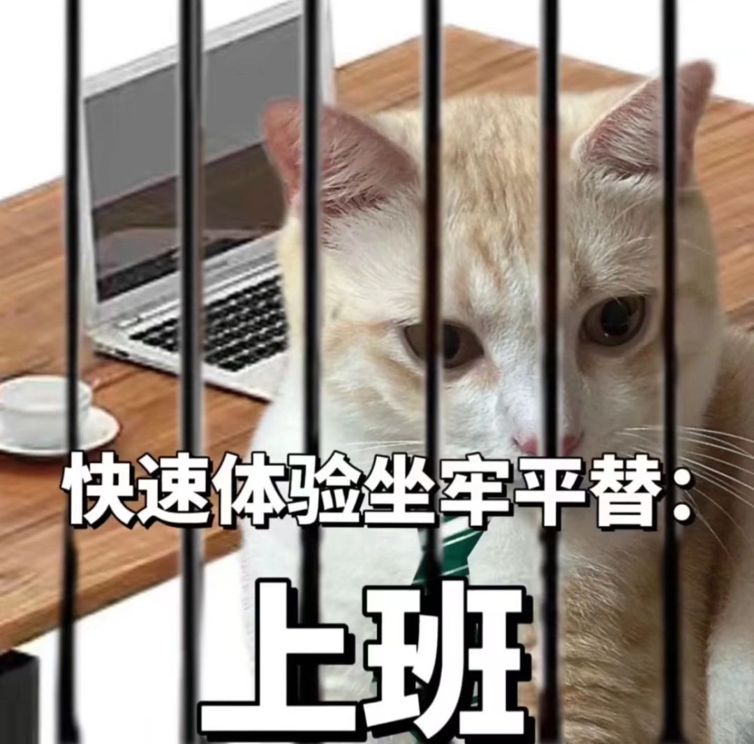 求开发者搞微信小程序版吧 1