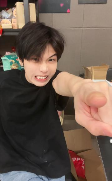 新手宠物攻略，看这篇就够了