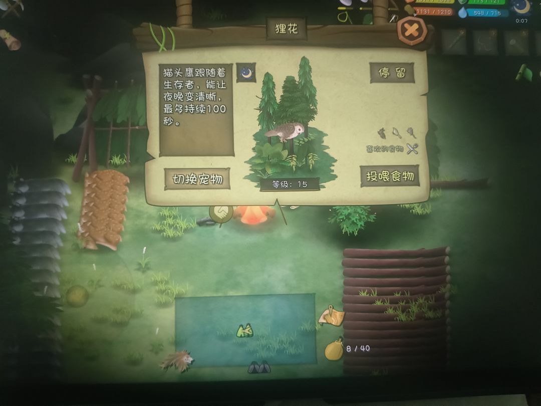 猫头鹰多少级是个头啊 1