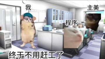 【猫meme】震惊，是什么让节后的运营身体被掏空？
