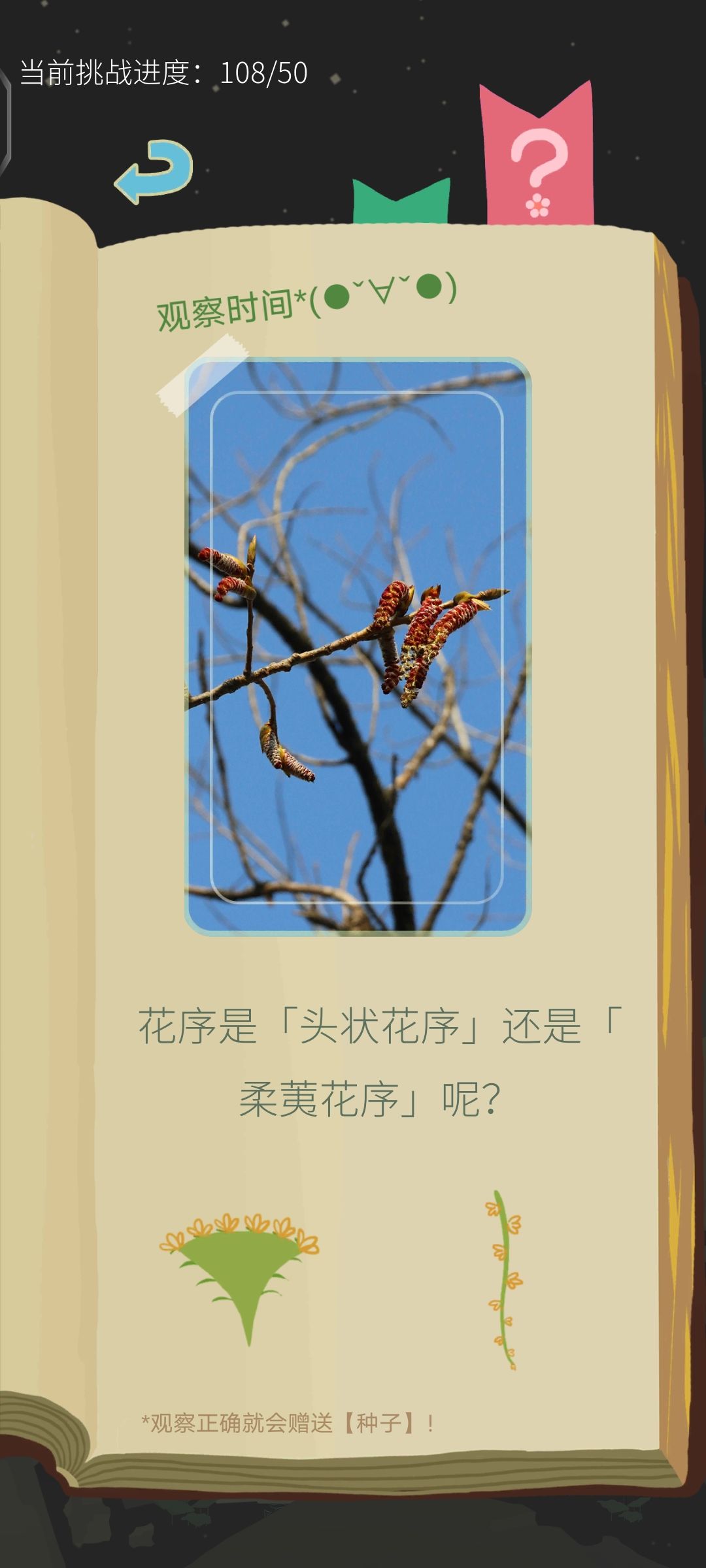 【答卡】首次上榜耶耶耶! 5