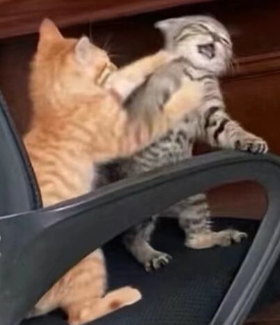 ^_^截图