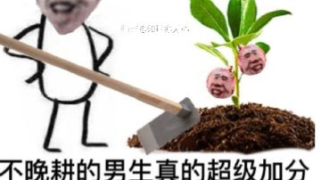 全服最强都是我的手下败将，这是历史的见证的记录