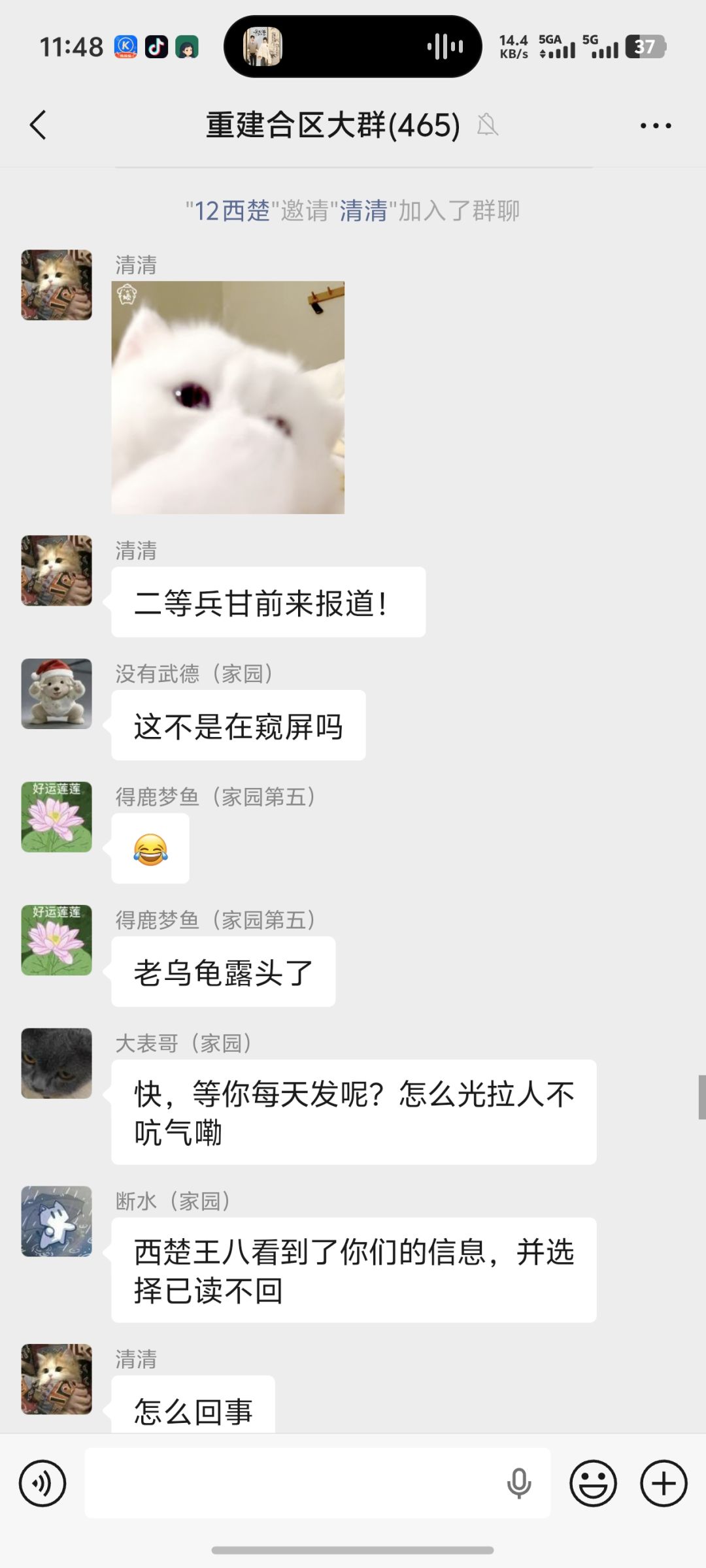 这是路人? 1