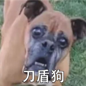 动态图片 11
