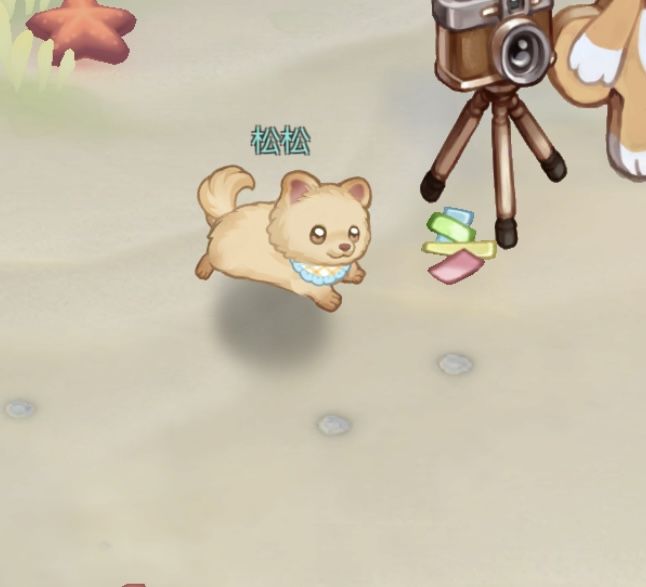 松松! 2