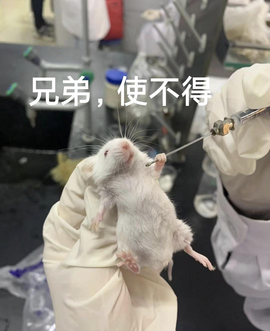 求求大佬救救 2
