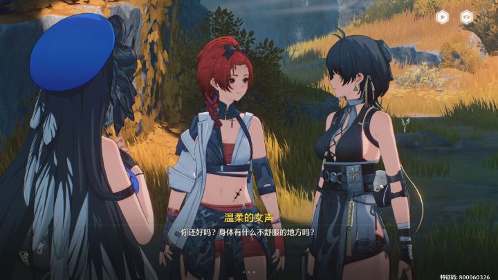 谁有国服的看看截图