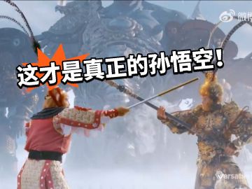 两开花！六小龄童大战黑猴！