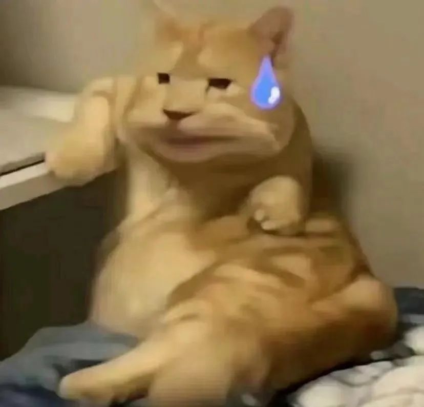 技能特效怎么看不见了 1