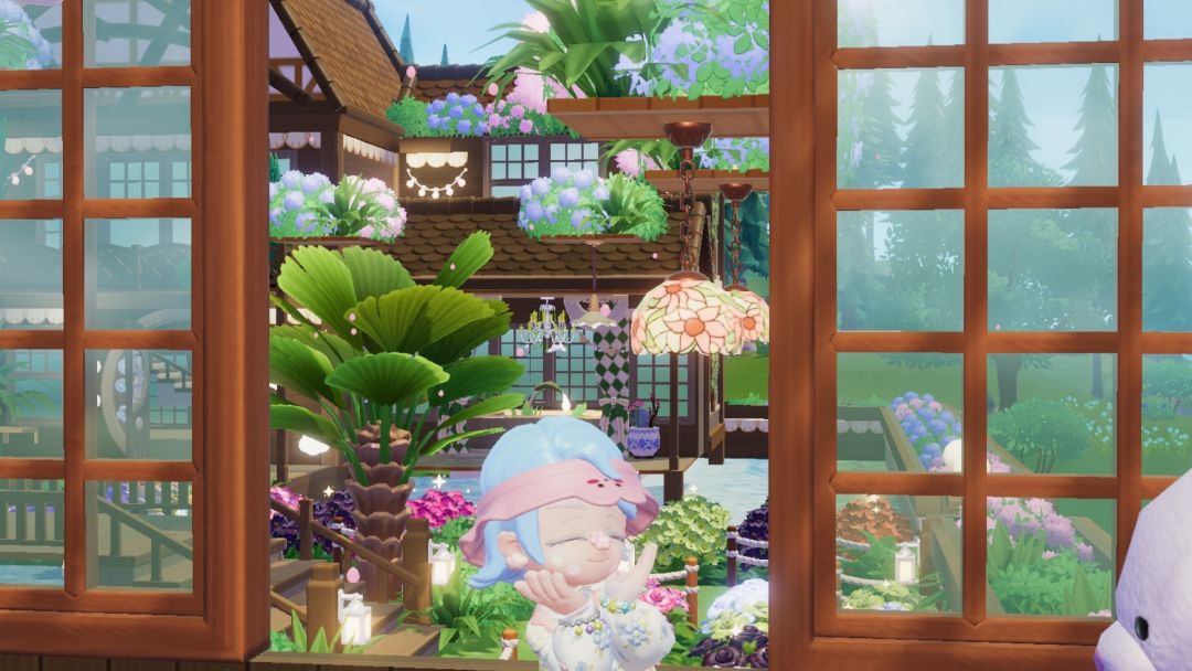 花瓣雨 3
